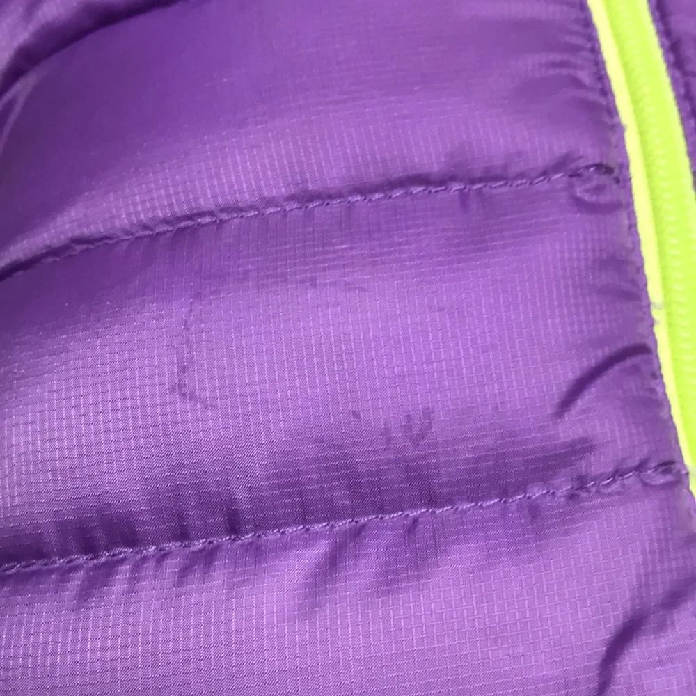 Patagonia Down Vest (size 2T)